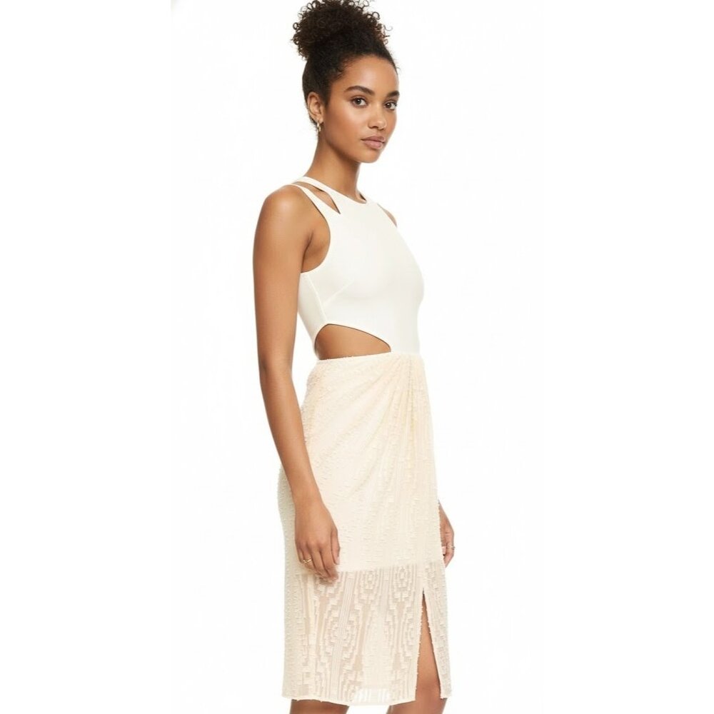 NWT Ronny Kobo JANINE in Bone Sheer Textured Burnout Skirt Cutout Dress S $358